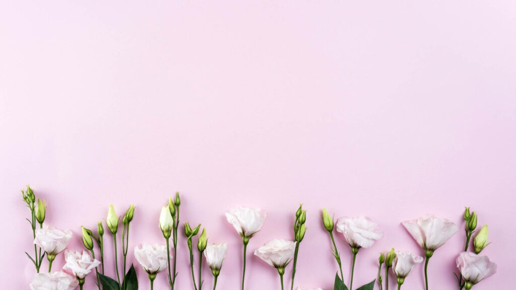 Minimalist Wallpaper: White Flowers & Green Buds on Soft Pink Background