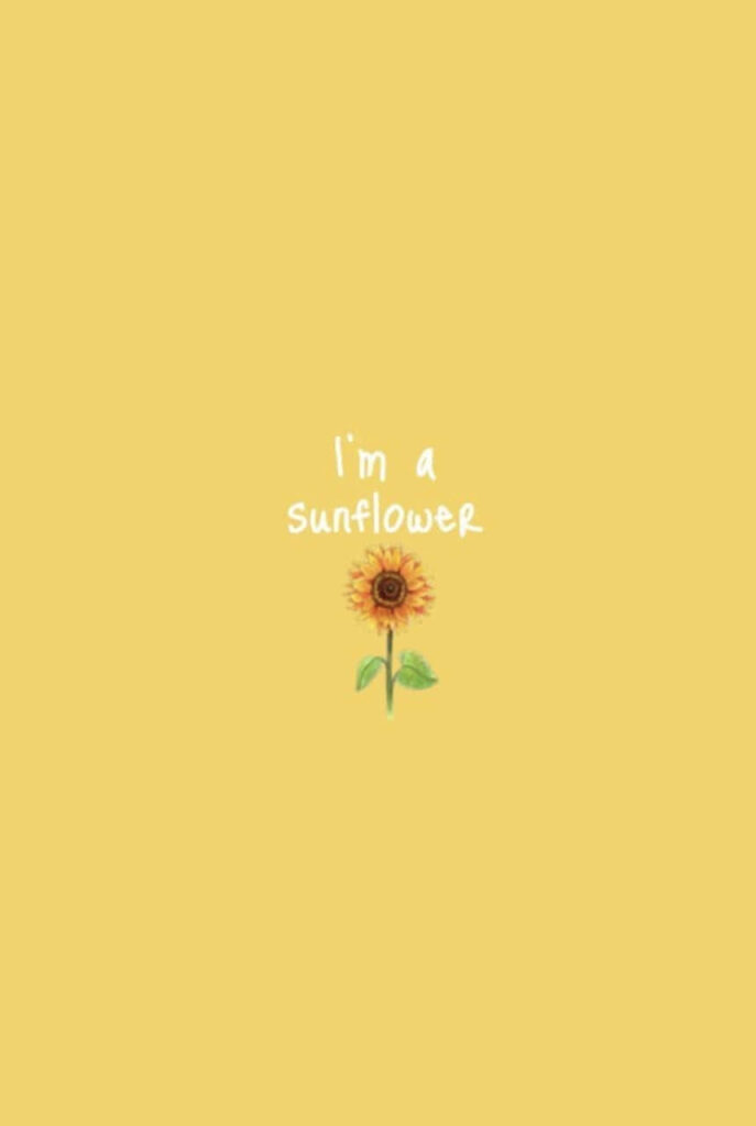 Minimalist Sunflower Wallpaper: Cheerful Yellow Summer Vibes