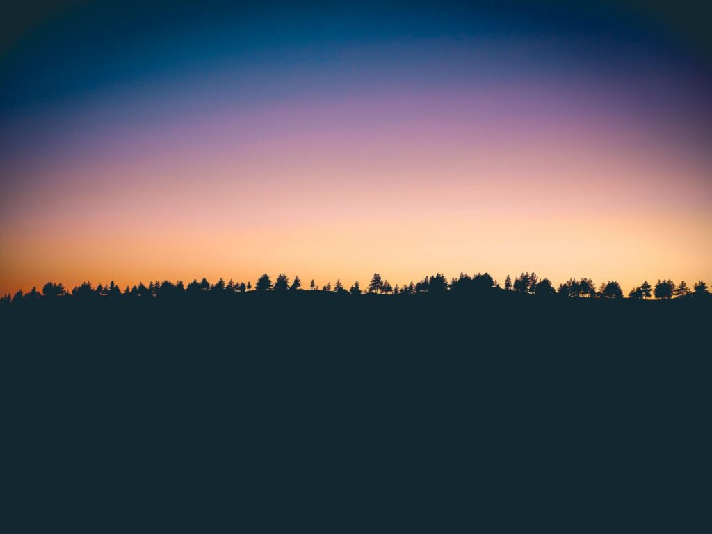 Minimalist sunset wallpaper with tree silhouettes orange and purple sky calm landscape background
