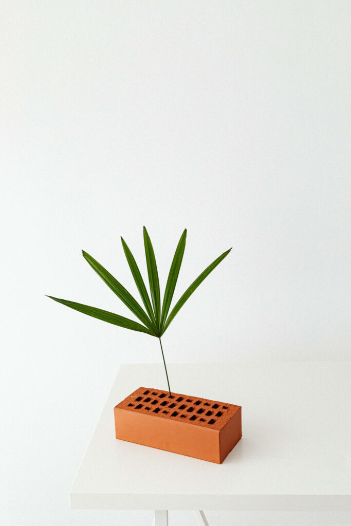Minimalist Terracotta Brick with Leaf Wallpaper - Clean White Background