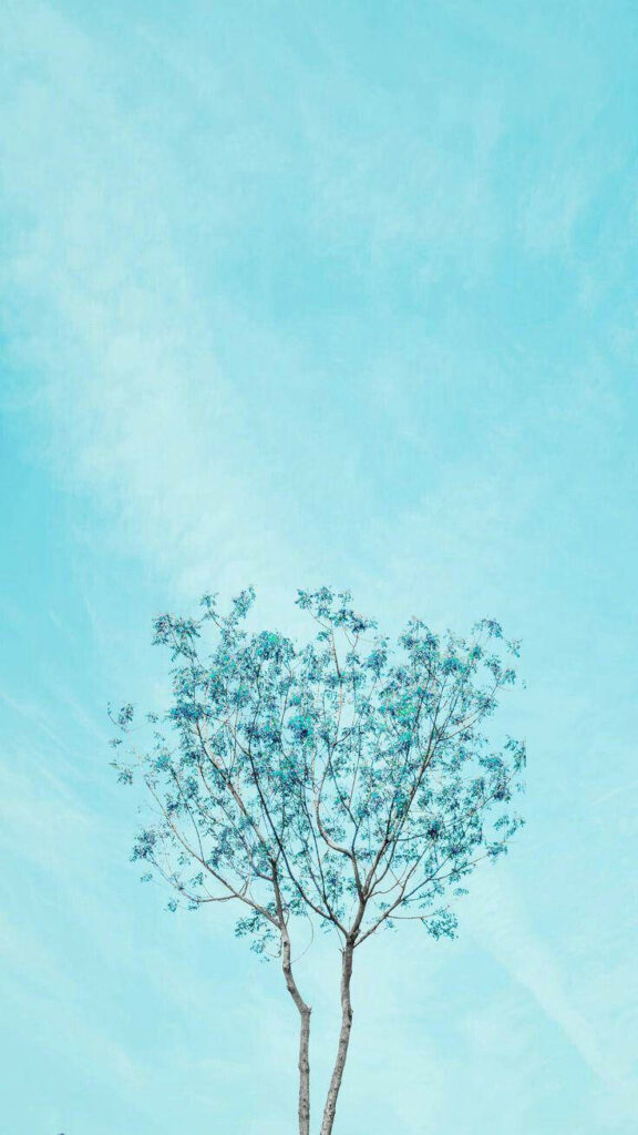 Minimalist Tree Wallpaper: Aesthetic Calm Blue Sky Background