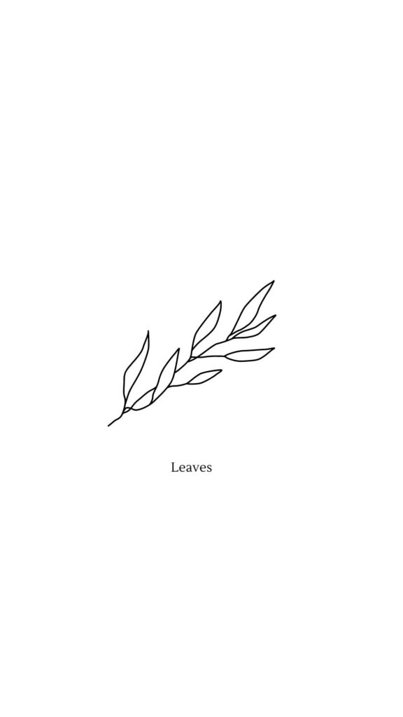 Minimalist Twig Line Drawing Wallpaper - Serene White Aesthetic