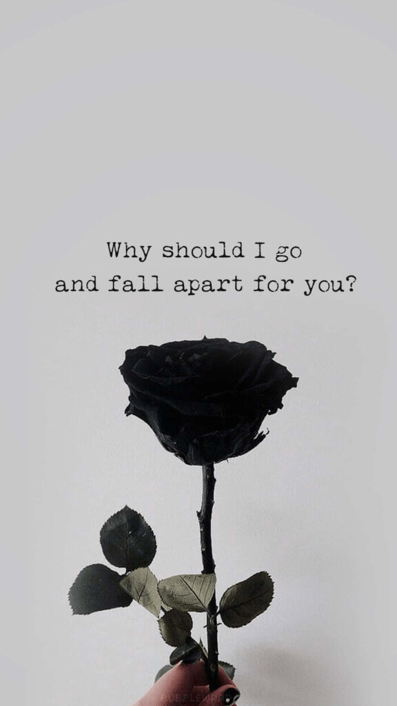 Minimalist Black Rose Wallpaper with Contemplative Quote