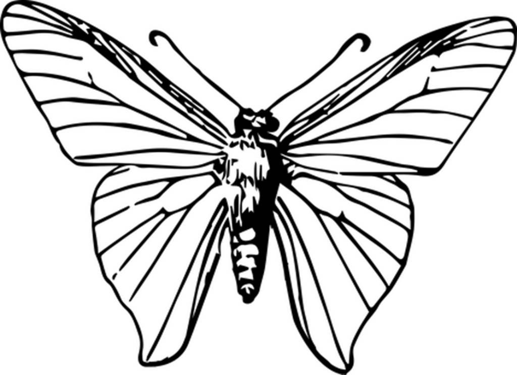 Minimalist Black Square Wallpaper for Modern Design Background