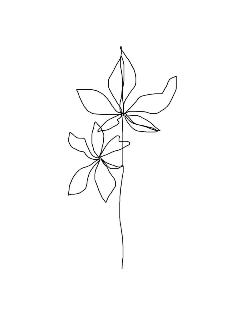 Minimalist Wallpaper: Delicate Continuous Line Flower Illustration