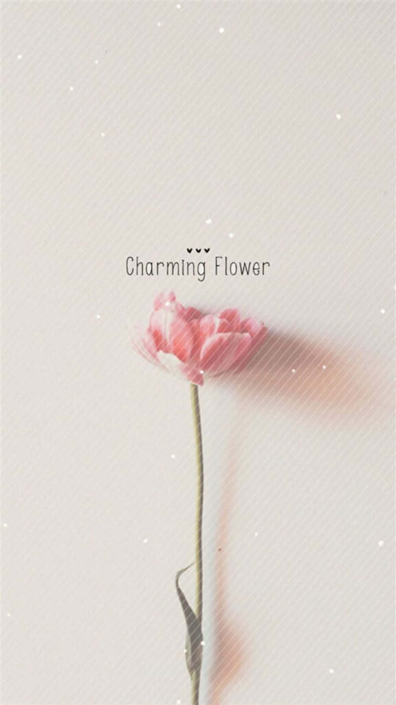 Minimalist Wallpaper: Delicate Pink Flower on Soft Neutral Background