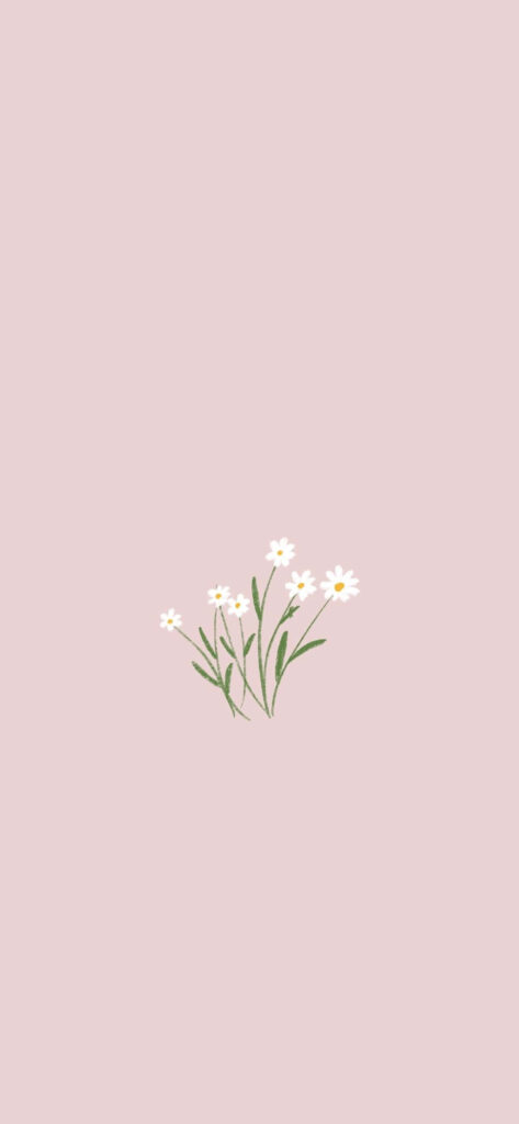 Delicate White Flowers Wallpaper on Soft Pink Background