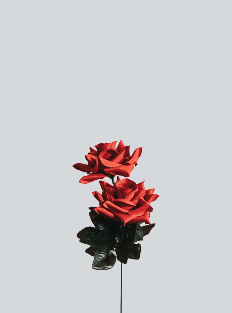 Minimalist Wallpaper: Red Roses & Green Leaves on Light Background