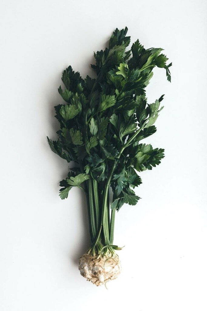 Minimalist Wallpaper: Fresh Celery Root Flat Lay on White Background