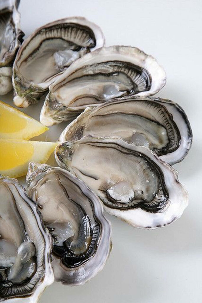 Minimalist Wallpaper: Fresh Oysters & Lemon on White Background