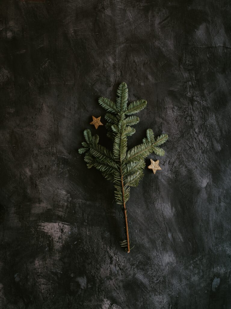 Festive Minimalist Wallpaper: Green Tree Branch & Star Decor