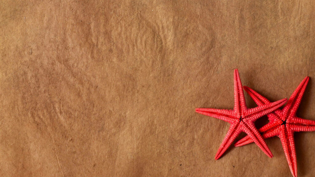 Minimalist Wallpaper: Red Starfish on Textured Brown Background