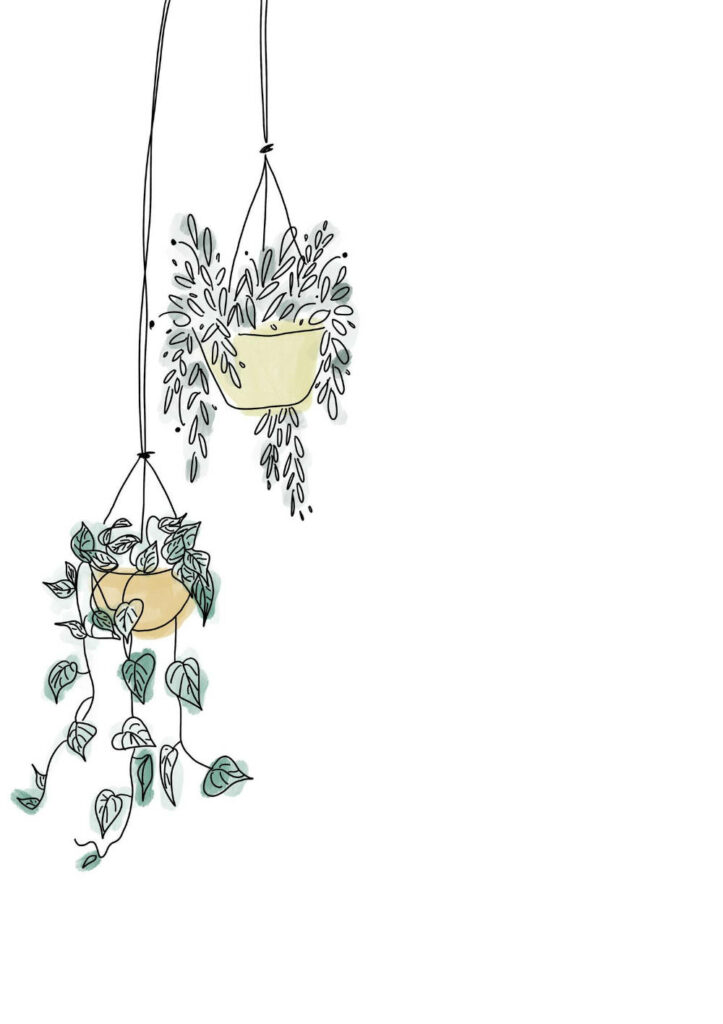 Elegant Minimalist Wallpaper with Trailing Greenery Plants
