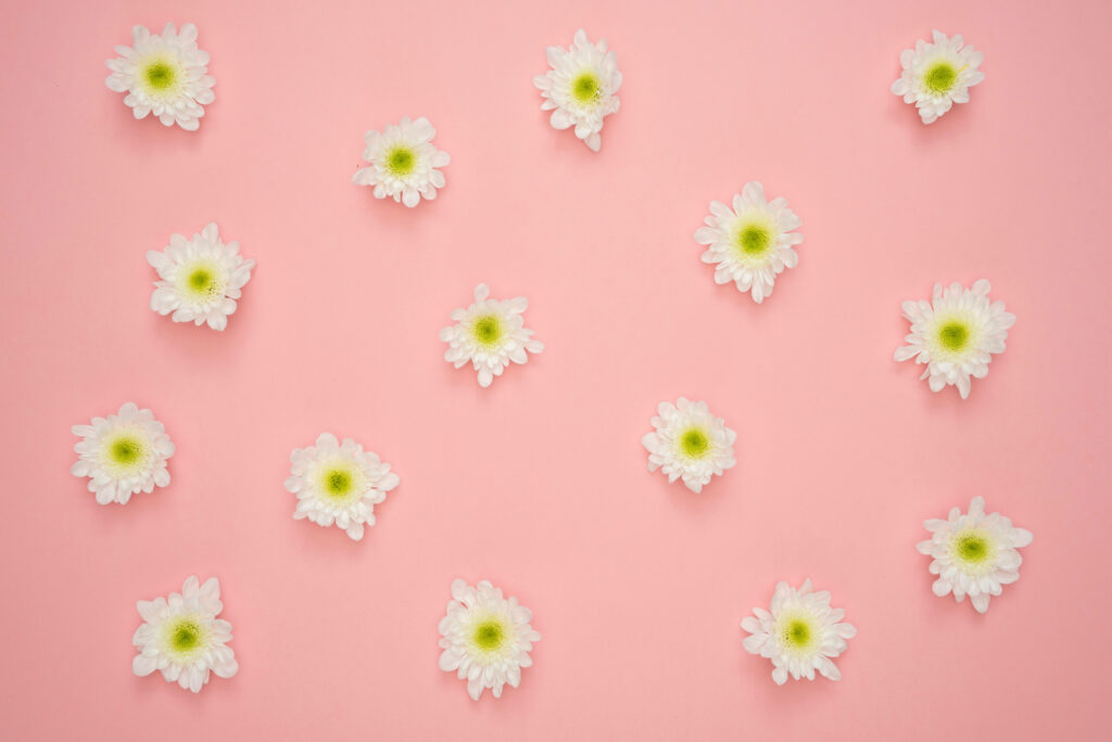 Minimalist White Flower Wallpaper on Soft Pink Background