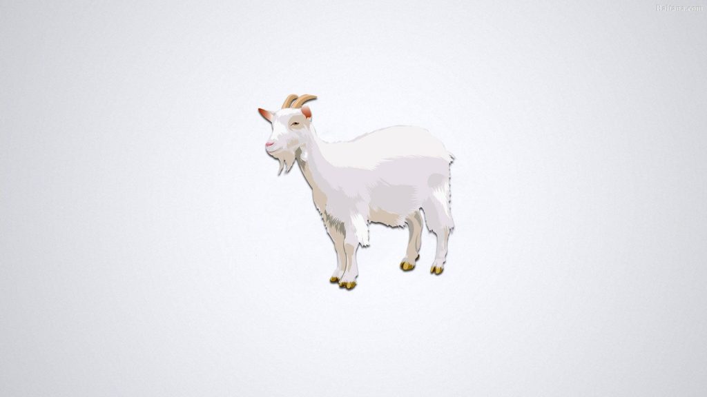Minimalist digital art of white goat with tan horns on soft gray background desktop wallpaper
