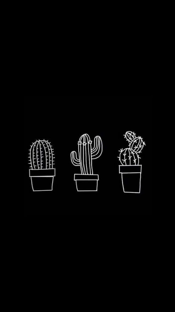 Minimalist white line art of three potted cacti on black background modern botanical wallpaper