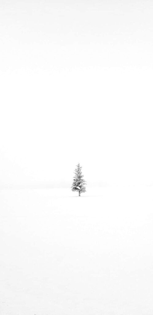 Minimalist Snowy Landscape with Solitary Tree - Serene Wallpaper