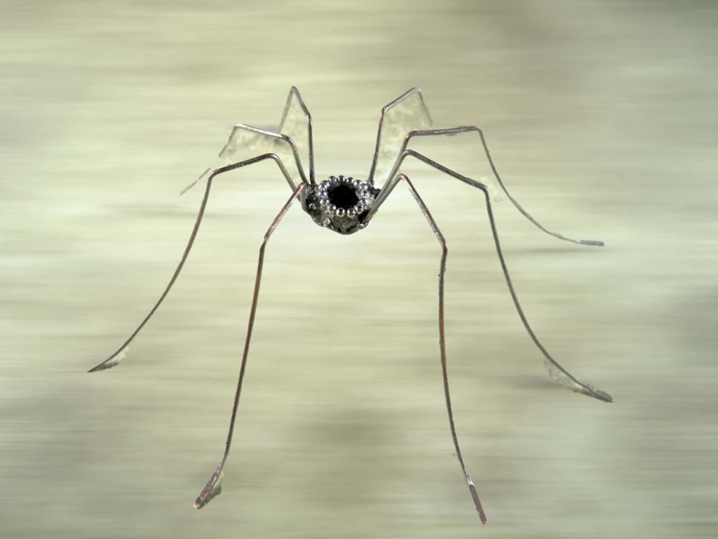Minimalist Harvestman spider wire sculpture wallpaper with spindly legs on blurred neutral background