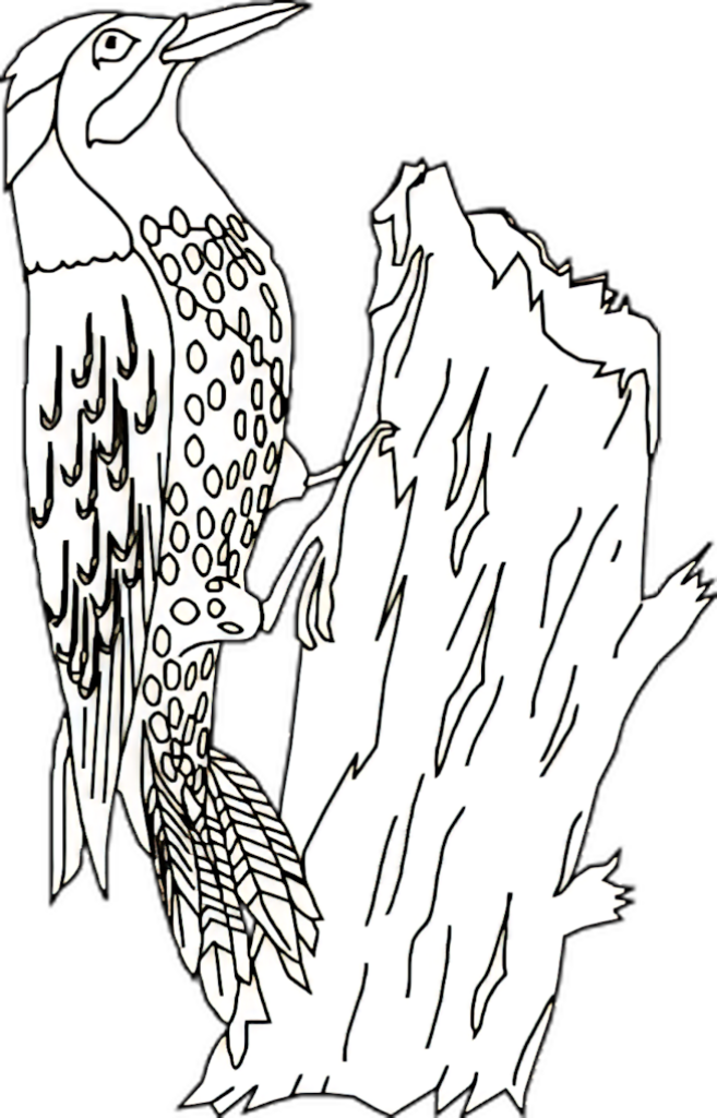 Minimalist Woodpecker Line Art on Tree Stump - Elegant Nature Wallpaper