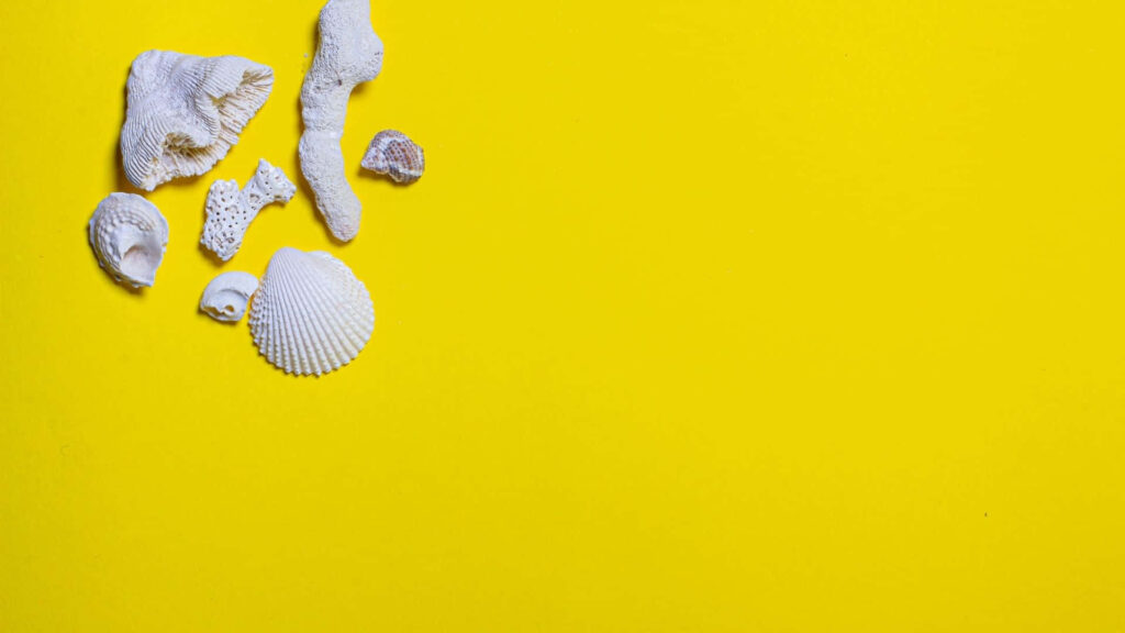 Bright Yellow Minimalist Background with White Seashells & Coral Design Wallpaper