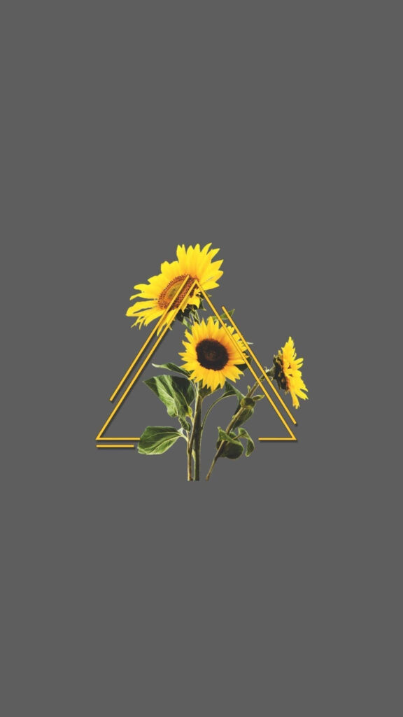Minimalist iPhone Wallpaper: Geometric Triangles & Vibrant Sunflowers