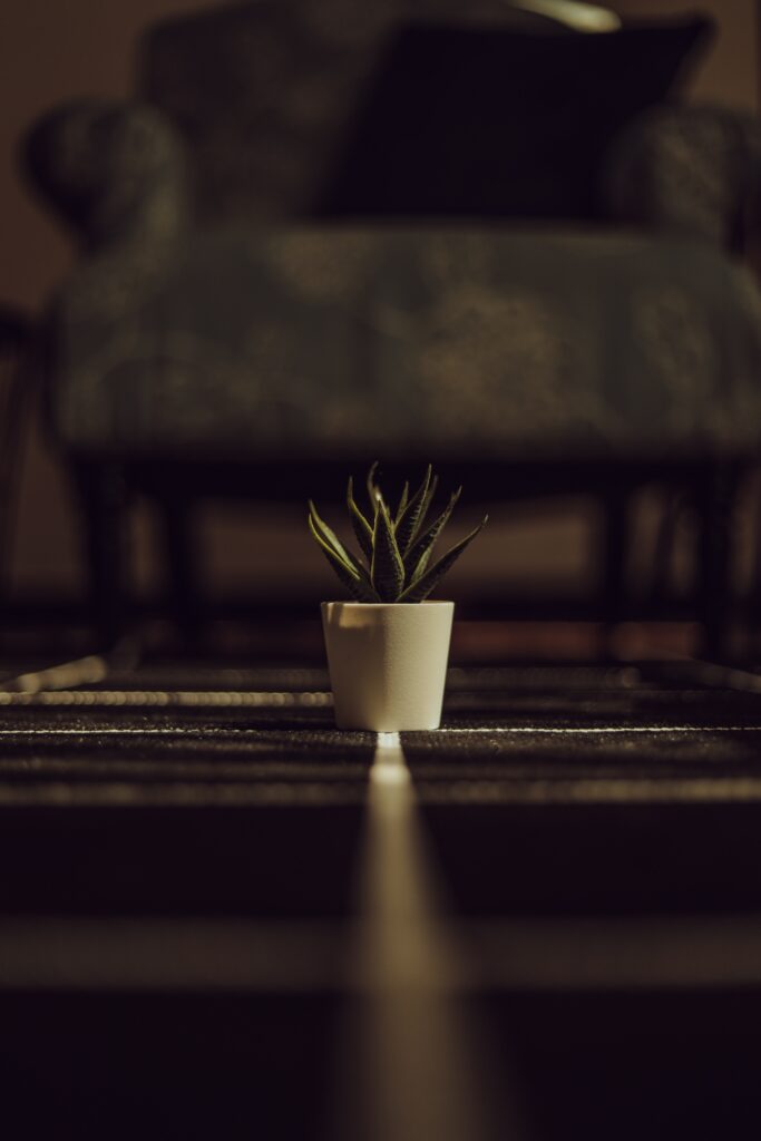 Minimalist Aloe Plant Wallpaper: Chic Green Decor on Dark Surface