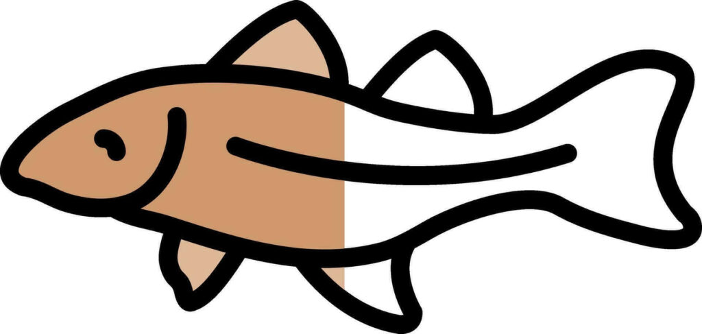 Minimalistic cartoon Arctic Cod illustration with bold black outlines on a wallpaper background