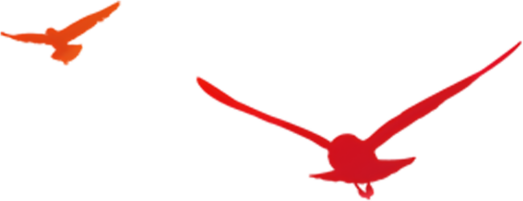 Bird Silhouettes in Flight - Warm Gradient Minimalist Wallpaper