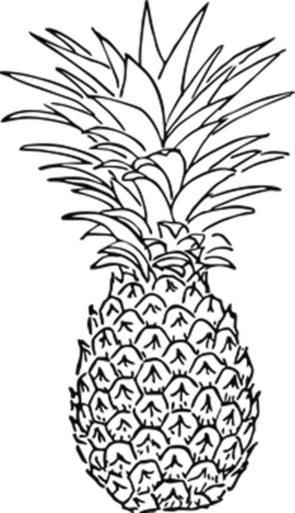 Minimalist Black Pineapple Silhouette Wallpaper Background