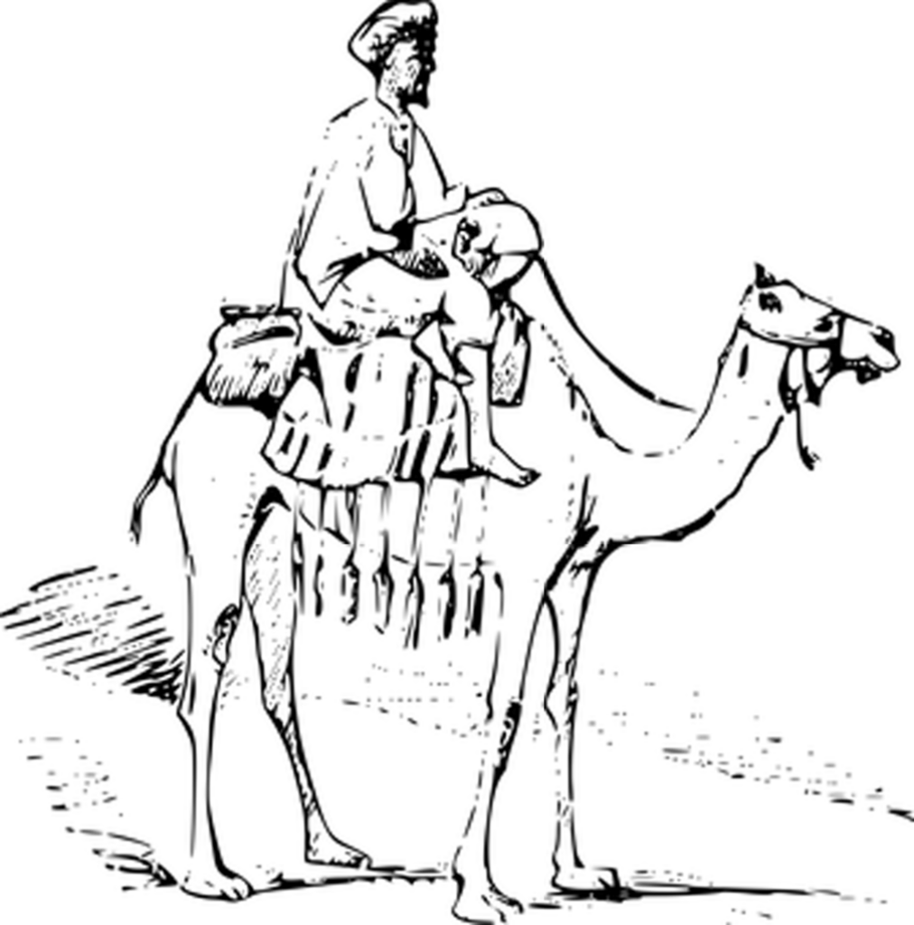 Versatile Black Screen Background for Creative Minimalist Projects Wallpaper