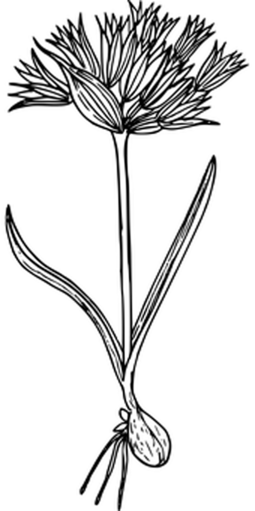 Minimalistic Black Wallpaper: Elegant Background for Your Desktop