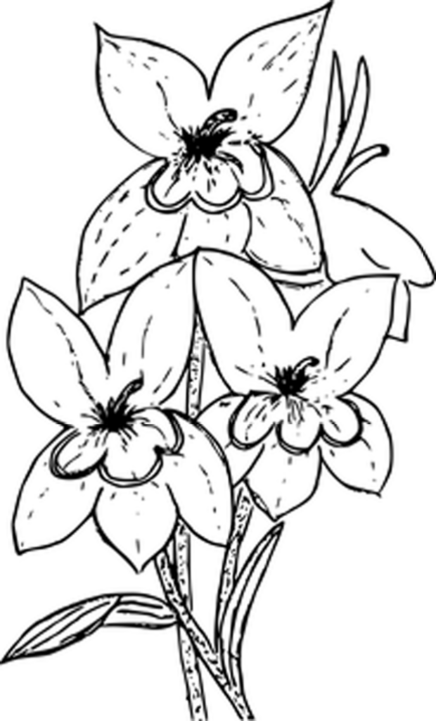 Minimalistic Black Wallpaper: Simple Placeholder Background Image