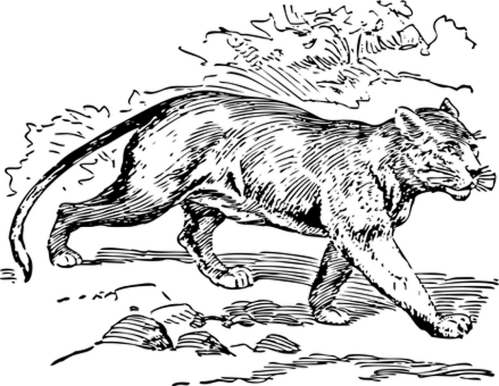 Minimalist Black Screen Wallpaper - Sleek and Distraction-Free Background