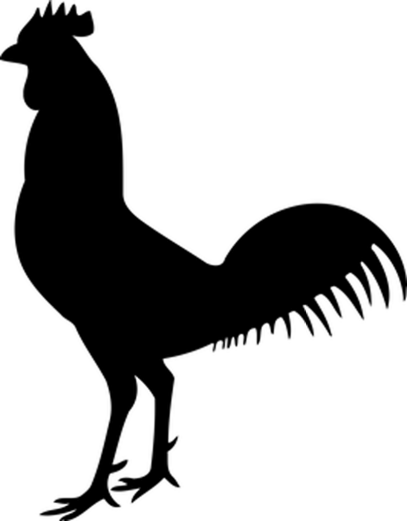 Minimalistic Black Screen Wallpaper for Distraction-Free Focus