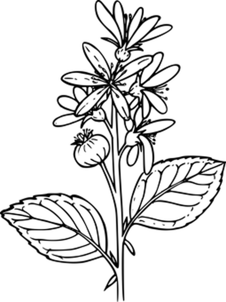 Minimalistic Black Wallpaper - Sleek Background for Your Screen