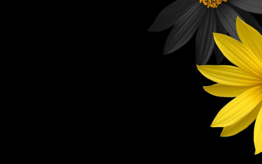 Minimalistic Black Wallpaper with Yellow Flower Accent Design