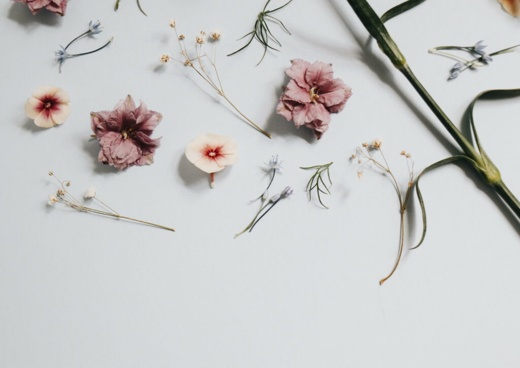 Minimalist Greenery: A Gray Aesthetic Wallpaper Background Photo