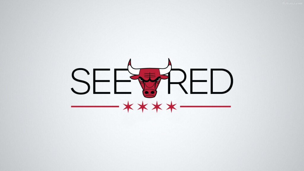 Minimalistic Chicago Bulls wallpaper with red bull logo SEE RED text and four red stars on white