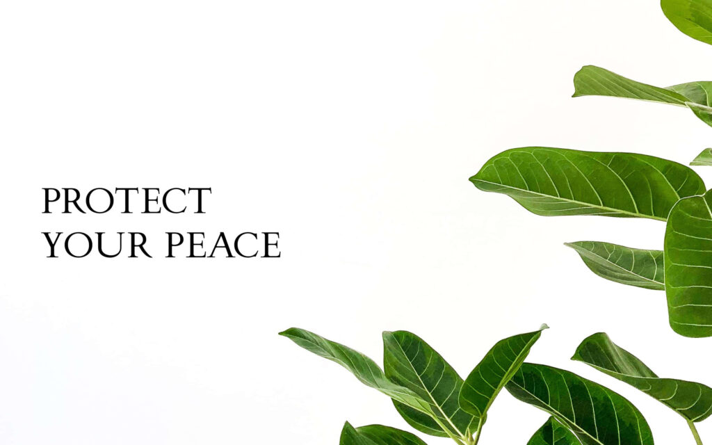 Minimalist Green Leaves Wallpaper: Protect Your Peace for Mac