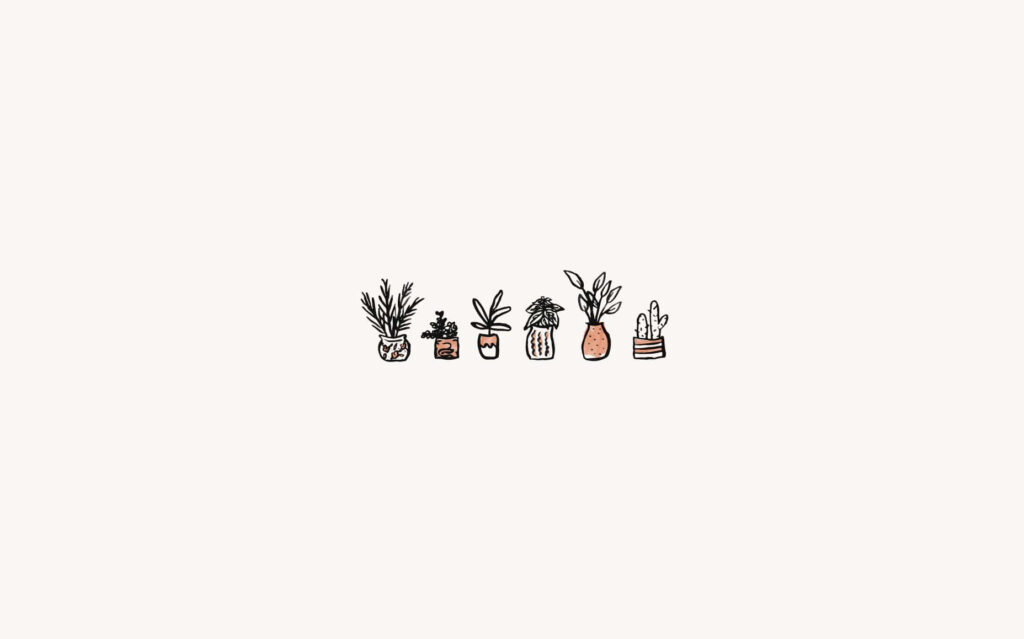 Minimalistic hand-drawn succulent pots wallpaper on white background for fresh laptop look