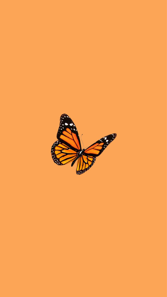 Elegant Minimalistic Orange Butterfly Wallpaper for Serenity