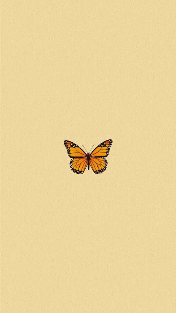 Minimalist Beige Wallpaper with Cute Orange Butterfly for iPhone 4