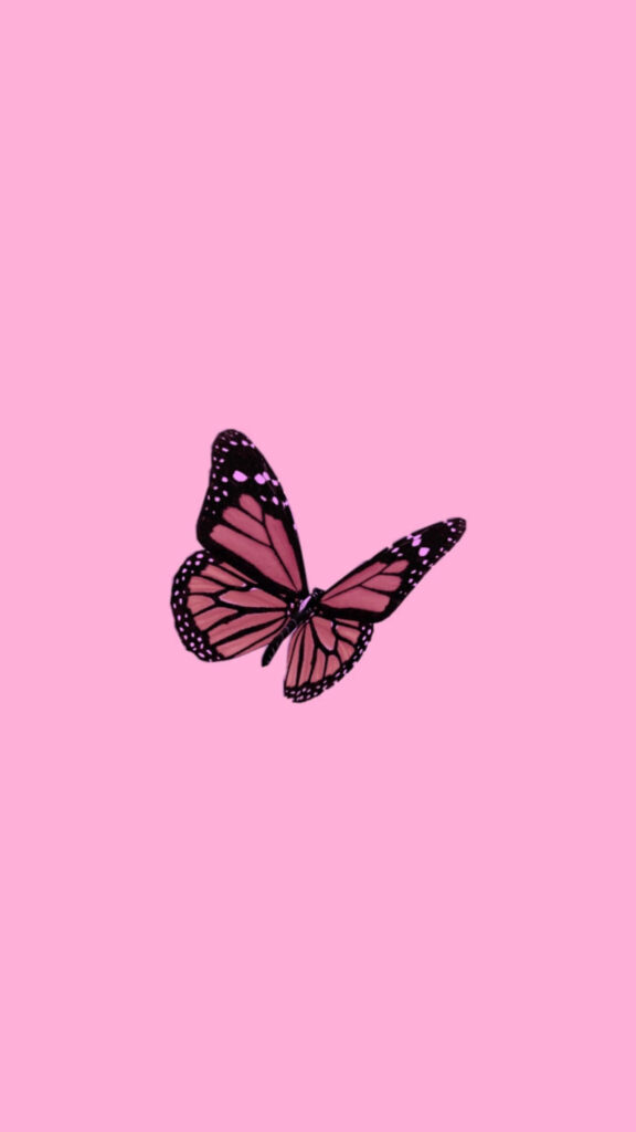 Vibrant Pink Wallpaper with Butterfly: Minimalistic & Dreamy Design