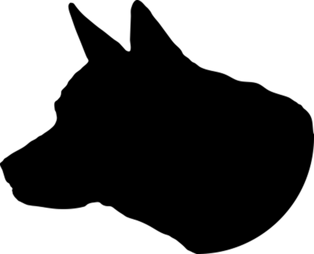 Solid Black Minimalist Wallpaper - Clean & Unobtrusive Background