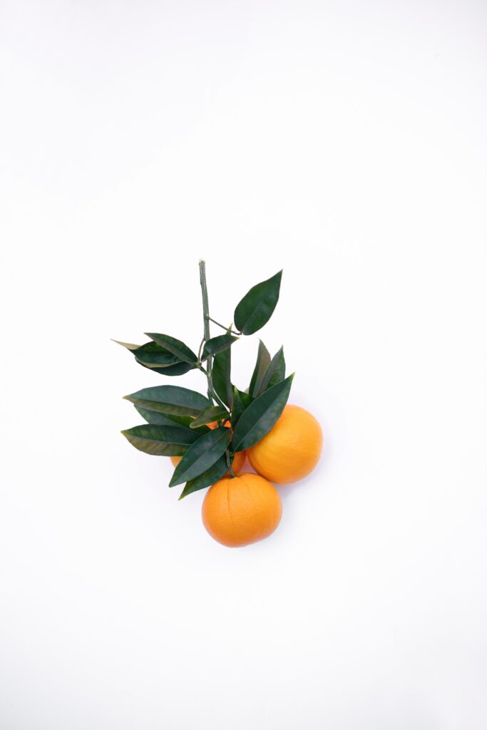 Fresh Tangerines on Leafy Branch - Minimalistic Wallpaper Background