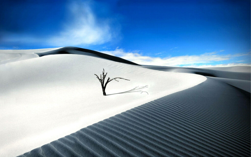 Solitary Gnarled Tree Wallpaper: Minimalist Desert Landscape