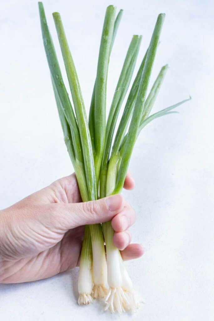 Minimalistic Green Onion Wallpaper - Simple Natural Elements