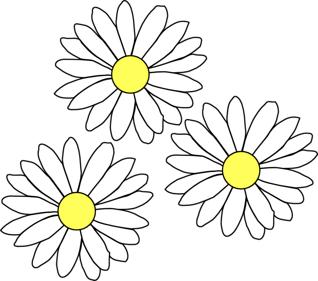 Minimalist White Daisies with Yellow Centers Wallpaper Background