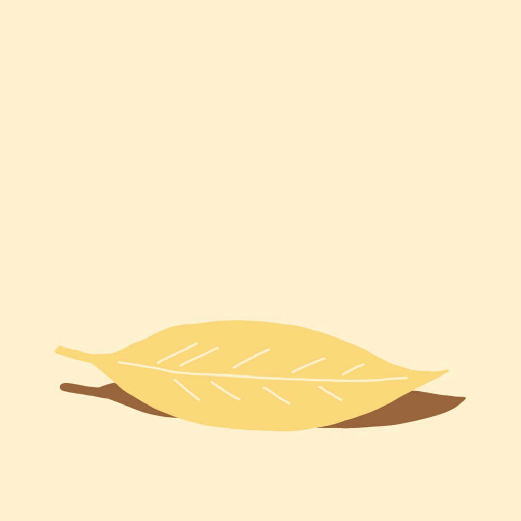 Serene Yellow Autumn Leaf Wallpaper on Off-White Background