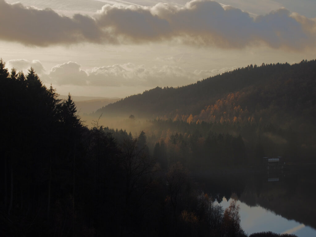 Misty autumn forest with rolling hills and calm lake reflecting vibrant fall colors wallpaper